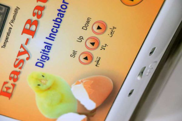 تصویر دستگاه جوجه کشی 12 تایی 