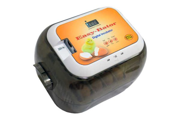 تصویر دستگاه جوجه کشی 12 تایی 