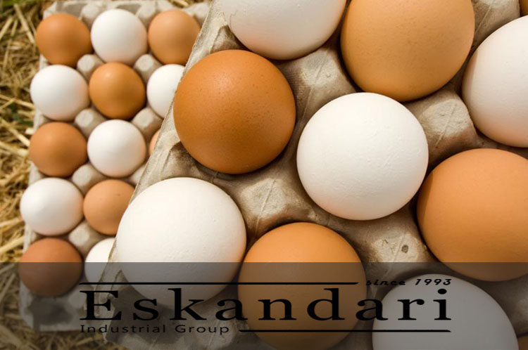 تخم مرغ غیر طبیعی