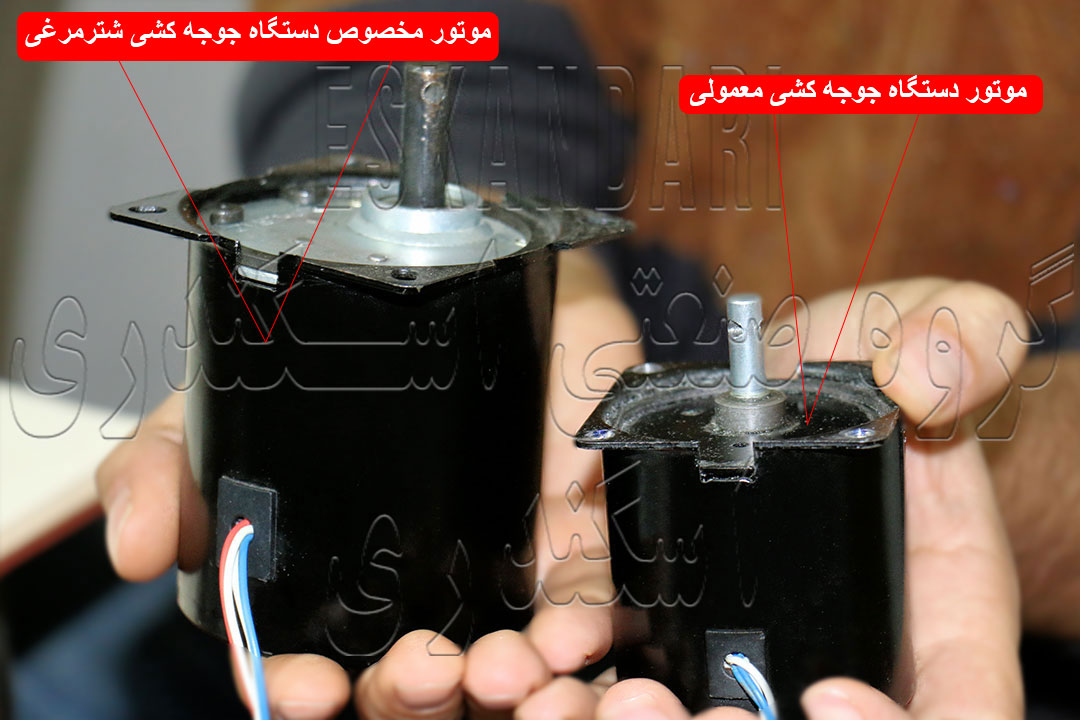 مقایسه موتور دستگاه جوجه کشی معمولی با موتور دستگاه مخصوص شتر مرغی