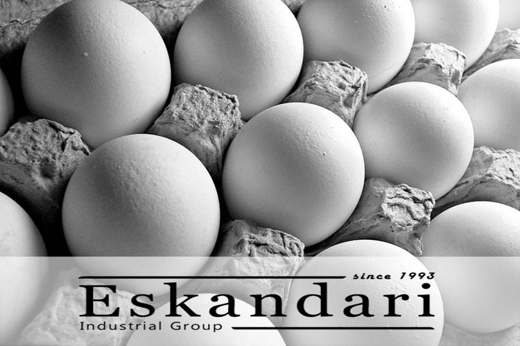 نکاتی در مورد تخم مرغ