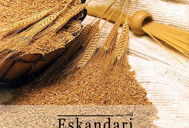 غذای مرغ تخم گذار