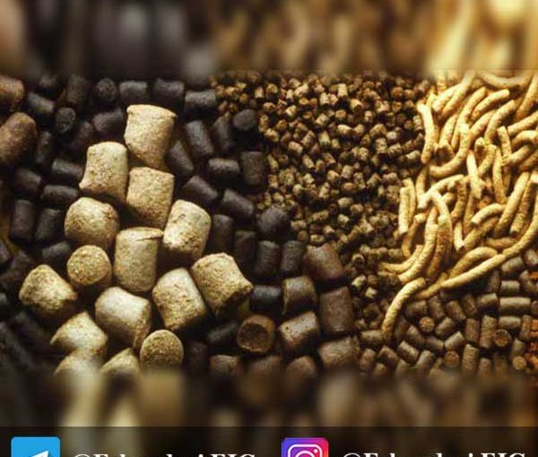 پروبیوتیک در خوراک مرغ