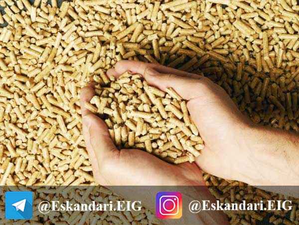 غذای مرغ گوشتی