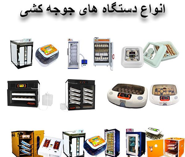 مقاله انواع دستگاه های جوجه کشی صنعتی و خانگی