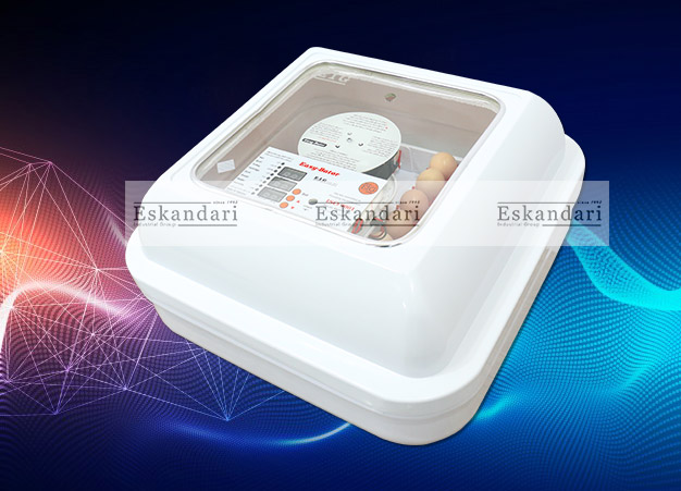 انکیباسیون تخم نطفه دار