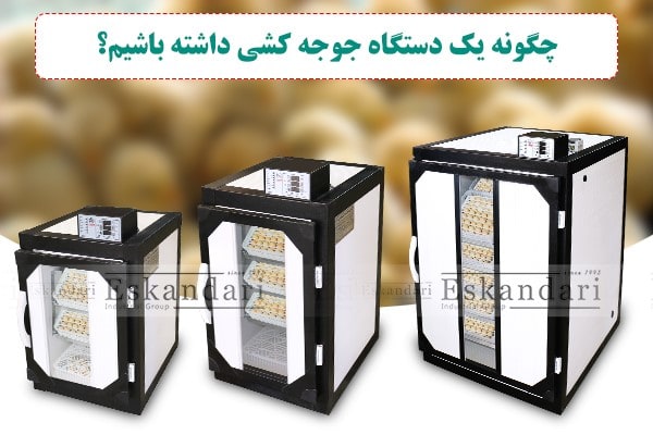 چگونه یک دستگاه جوجه کشی داشته باشیم؟