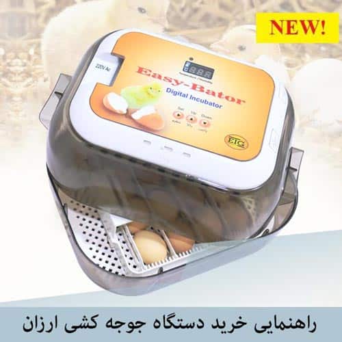 مقایسه کاس ماشین و ایزی باتور