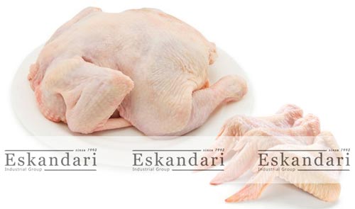 گوشت مرغ و چربی