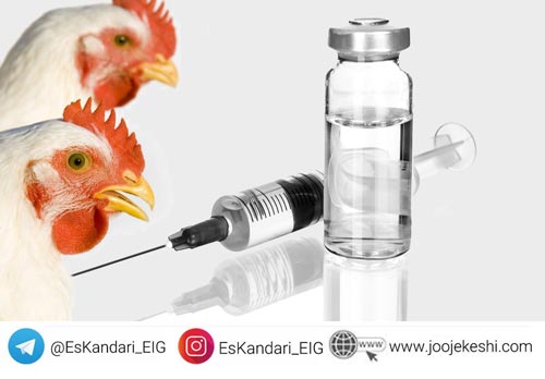 انواع واکسن ها در محیط کشت