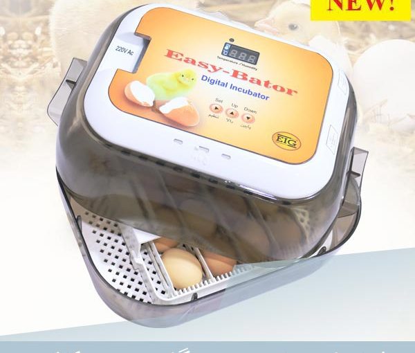 راهنمایی خرید دستگاه جوجه کشی