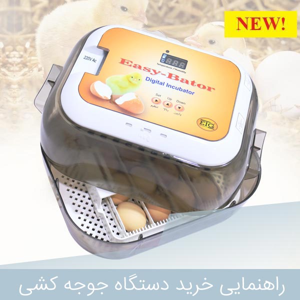 راهنمایی خرید دستگاه جوجه کشی