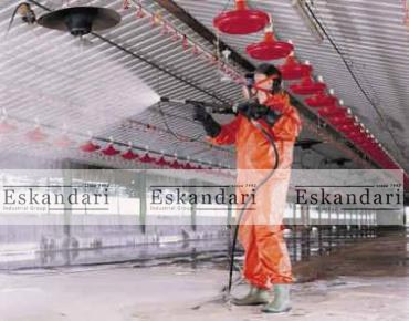بهداشت محیط پرندگان