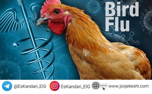 علام ویروس جی