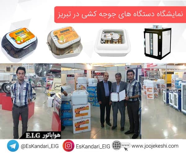 دستگاه جوجه کشی در تبریز