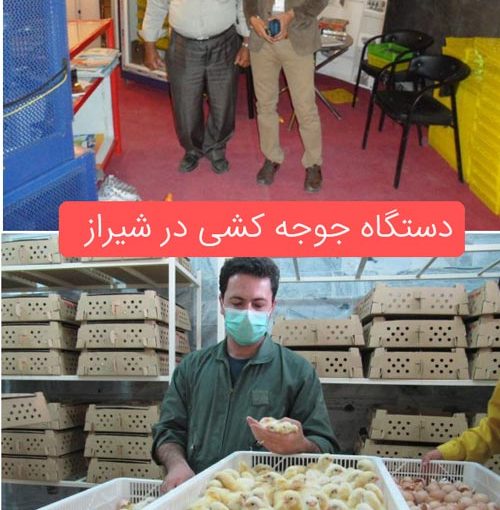 دستگاه جوجه کشی در شیراز