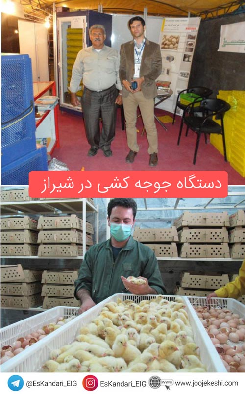 دستگاه جوجه کشی در شیراز