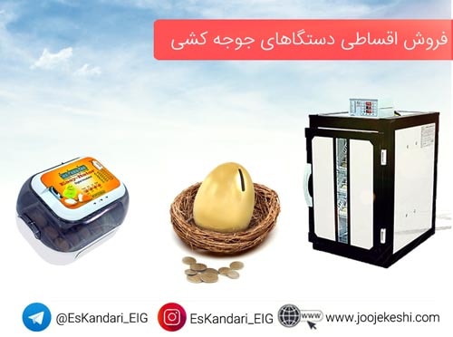 فروش اقساطی دستگاه جوجه کشی