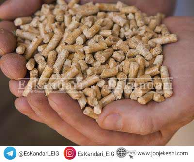 کنترل رشد با تغییر خصوصیات جیره غذایی