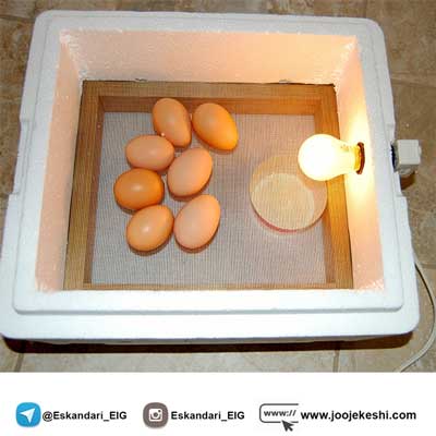 دستگاه جوجه کشی دست ساز ارزان
