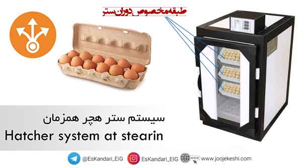 ستر وهچر