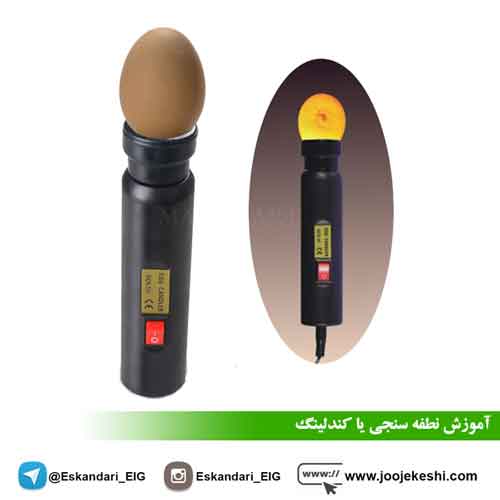 کندلر یا نطفه سنج