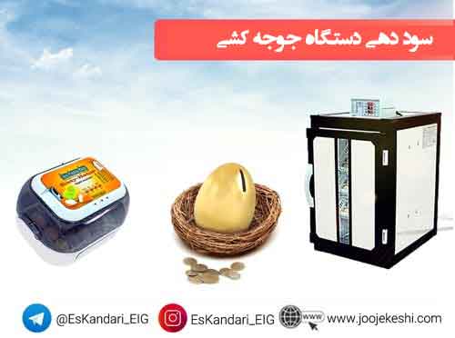 سود دستگاه جوجه کشی