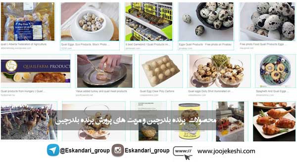 محصولات بلدرچین
