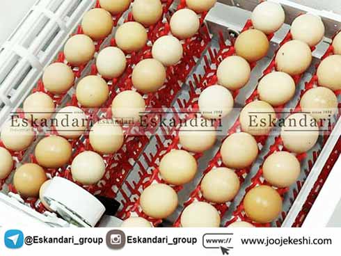 نواع شانه های دستگاه جوجه کشی