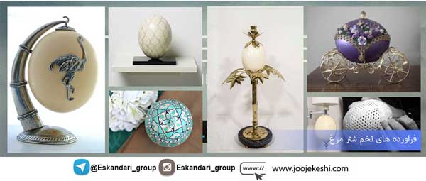 فراورده های شتر مرغ