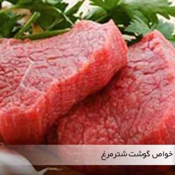 گوشت شترمرغ و خواص مفید آن - جوجه کشی دات کام