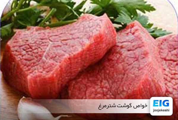 گوشت شترمرغ و خواص مفید آن - جوجه کشی دات کام