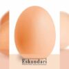 روند تشکیل تخم مرغ - جوجه کشی دات کام