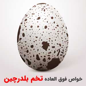 خواص تخم بلدرچین