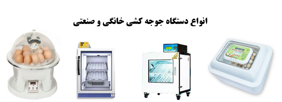دستگاه های جوجه کشی خانگی و صنعتی چیکن هچ