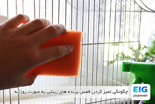 چگونگی تمیز کردن قفس پرنده های زینتی به صورت روزانه - جوجه کشی دات کام