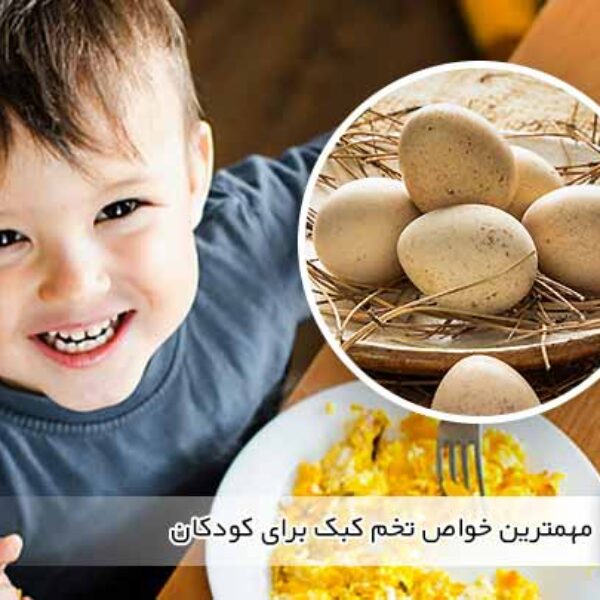 مهمترین خواص تخم کبک برای کودکان - جوجه کشی دات کام