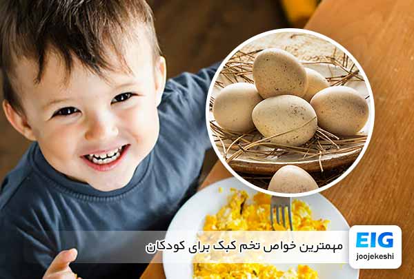 مهمترین خواص تخم کبک برای کودکان - جوجه کشی دات کام