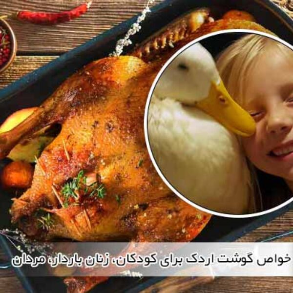 خواص گوشت اردک برای کودکان، زنان باردار، مردان - جوجه کشی دات کام