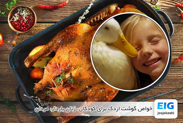 خواص گوشت اردک برای کودکان، زنان باردار، مردان - جوجه کشی دات کام