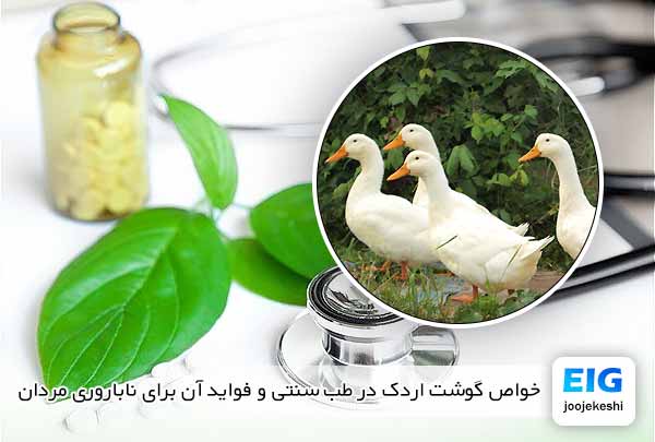 خواص گوشت اردک در طب سنتی و فواید آن برای ناباروری مردان - جوجه کشی دات کام
