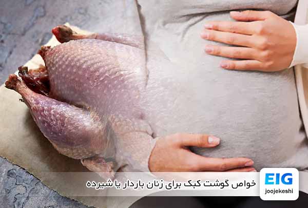 خواص گوشت کبک برای زنان باردار یا شیرده - جوجه کشی دات کام